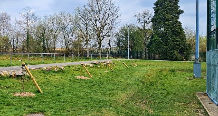 'Mindless act of vandalism' as trees in Gwaun- Cae-Gurwen destroyed