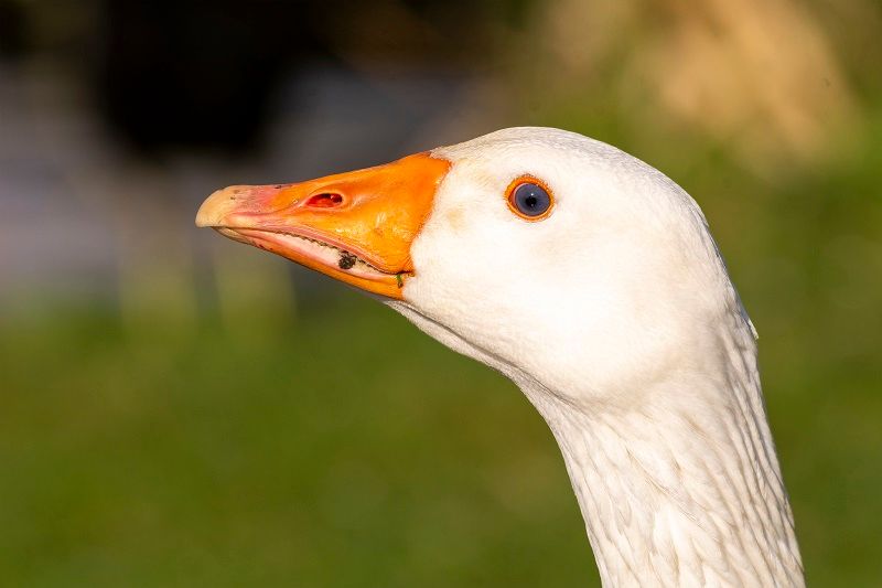 Scene By You Ormskirk - April 7: Pictures of West Lancashire captured by local photographers