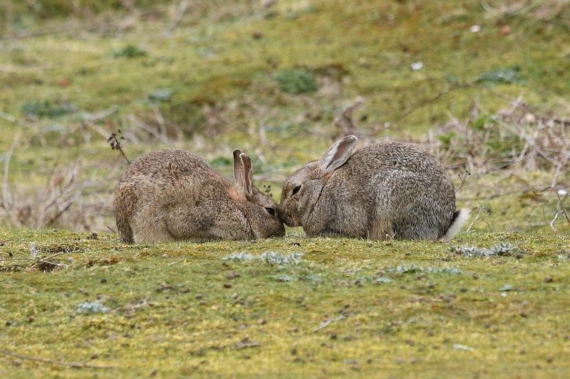 Scene By You Ormskirk - March 24: Pictures of West Lancashire captured by local photographers