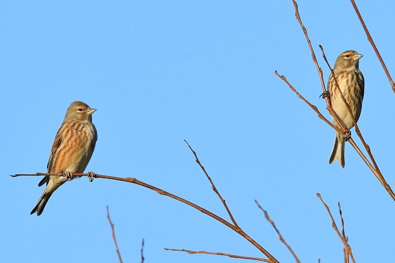 Scene By You Ormskirk - March 10: Pictures of West Lancashire captured by local photographers
