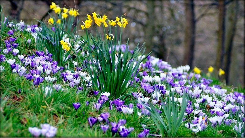 Scene By You Southport - March 17: Pictures of West Lancashire captured by local photographers