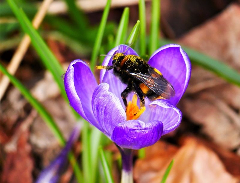 Scene By You Southport - March 24: Pictures of West Lancashire captured by local photographers