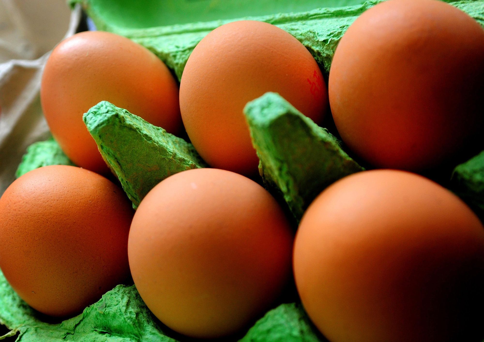 Free range eggs no longer available in UK due to bird flu