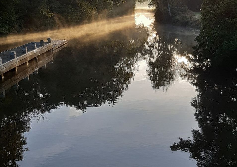 New nature trail to open along River Medway