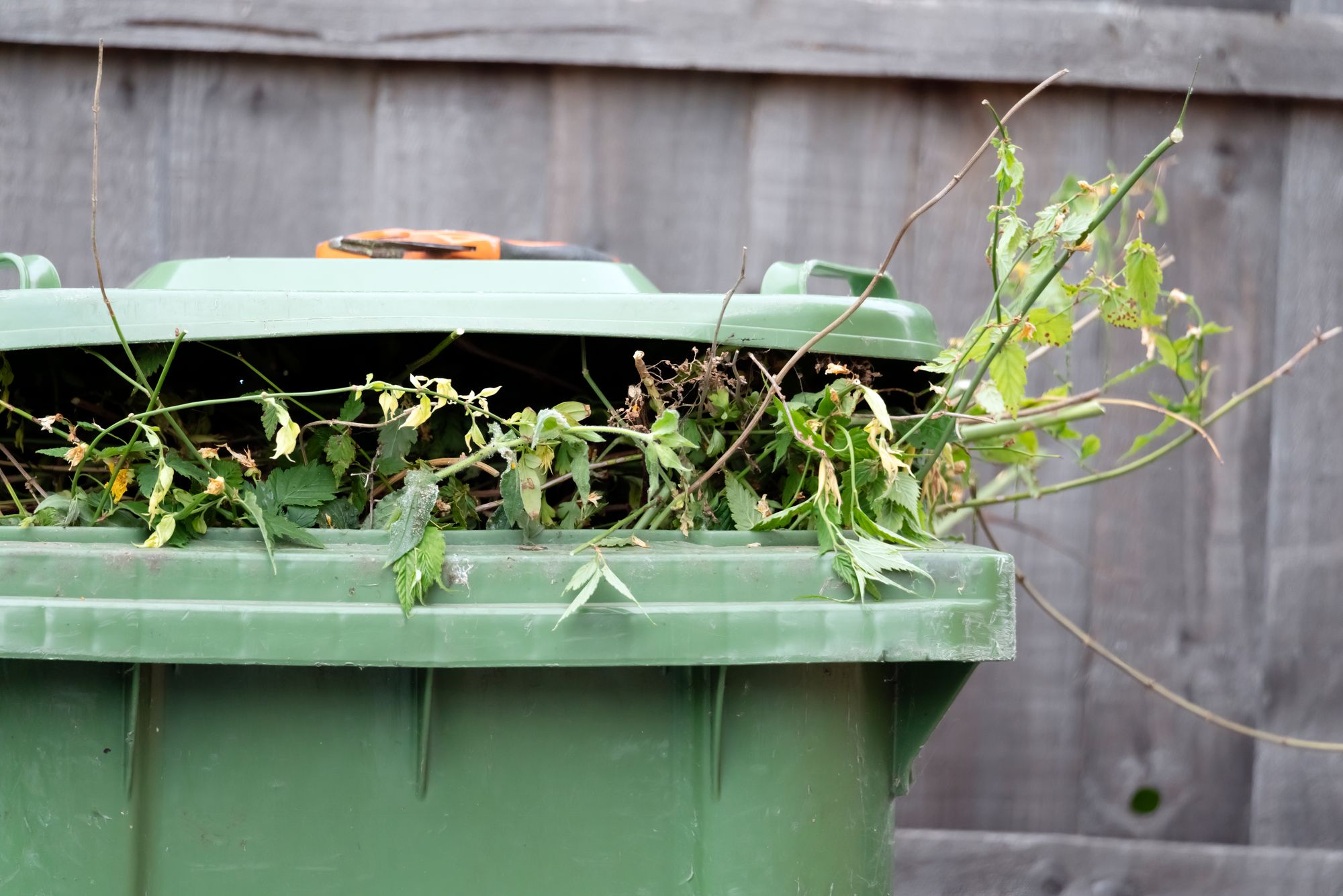 Hinckley & Bosworth Borough Council announces discount for garden waste collection