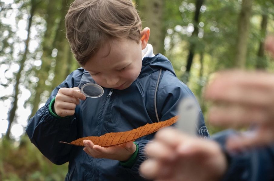 Knowsley children invited to take part in sessions to improve mental health and wellbeing
