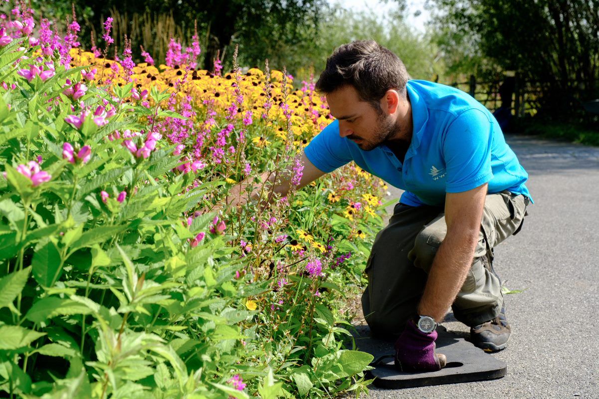 Burscough nature reserve on the hunt for volunteers