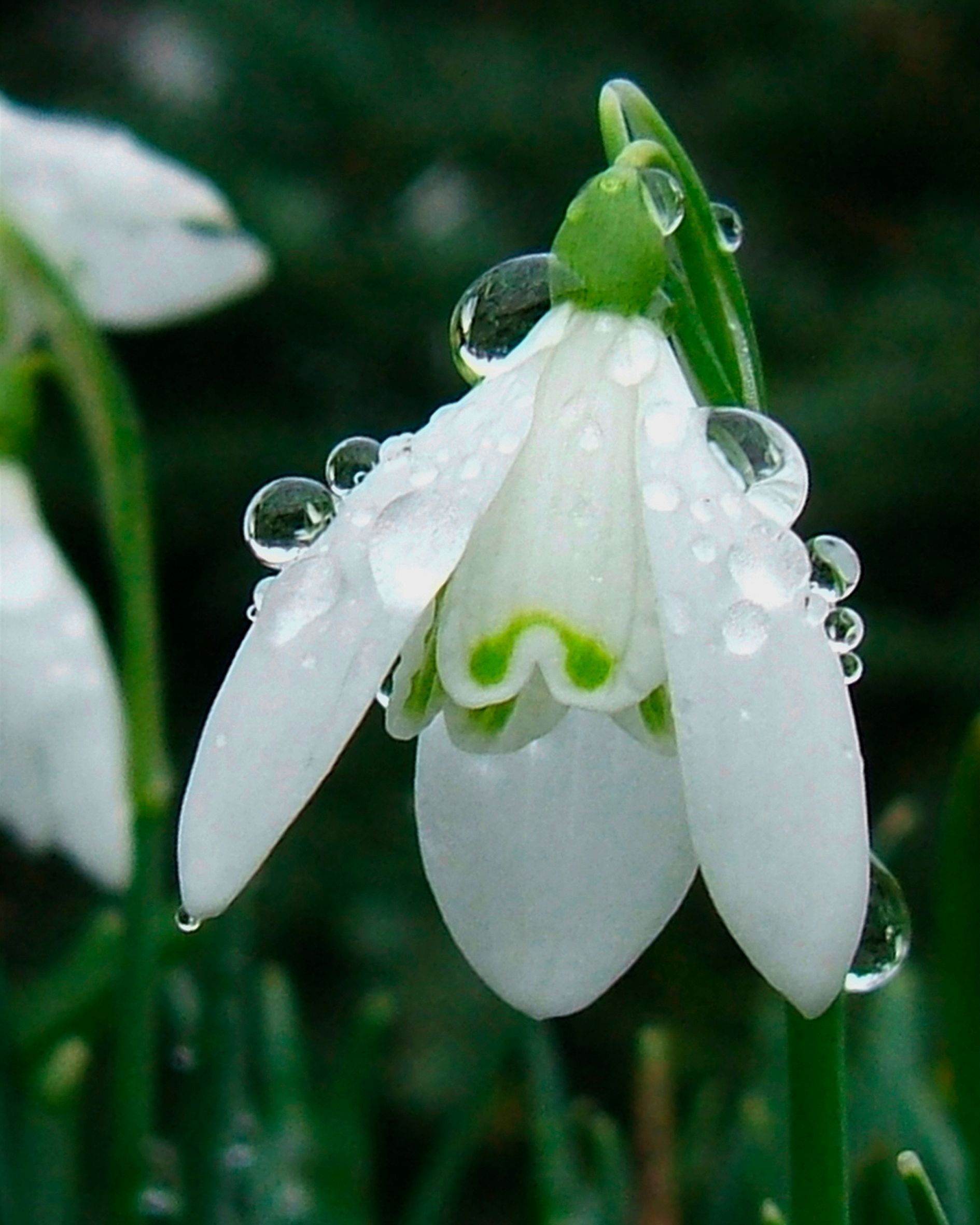 Wildlife: Signs of spring
