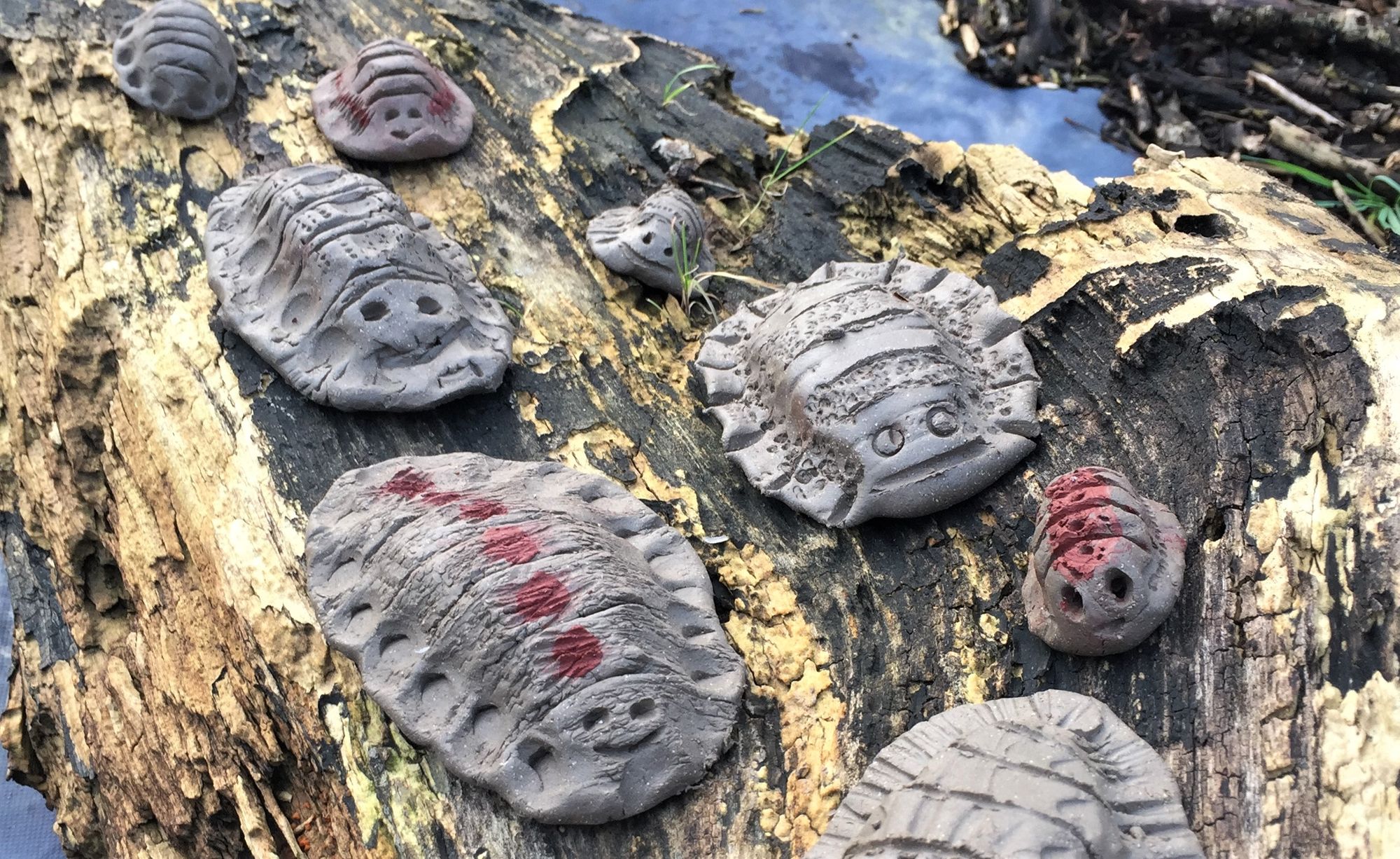 Leicestershire creatives to display work in National Forest after securing arts grant