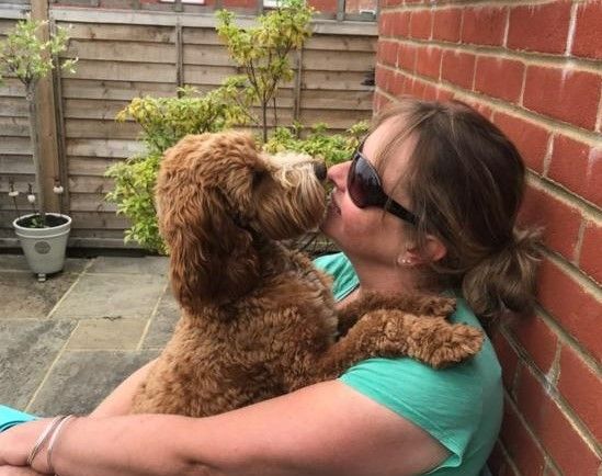 Thousands raised and 60 swift nest boxes created in memory of Dorking mum