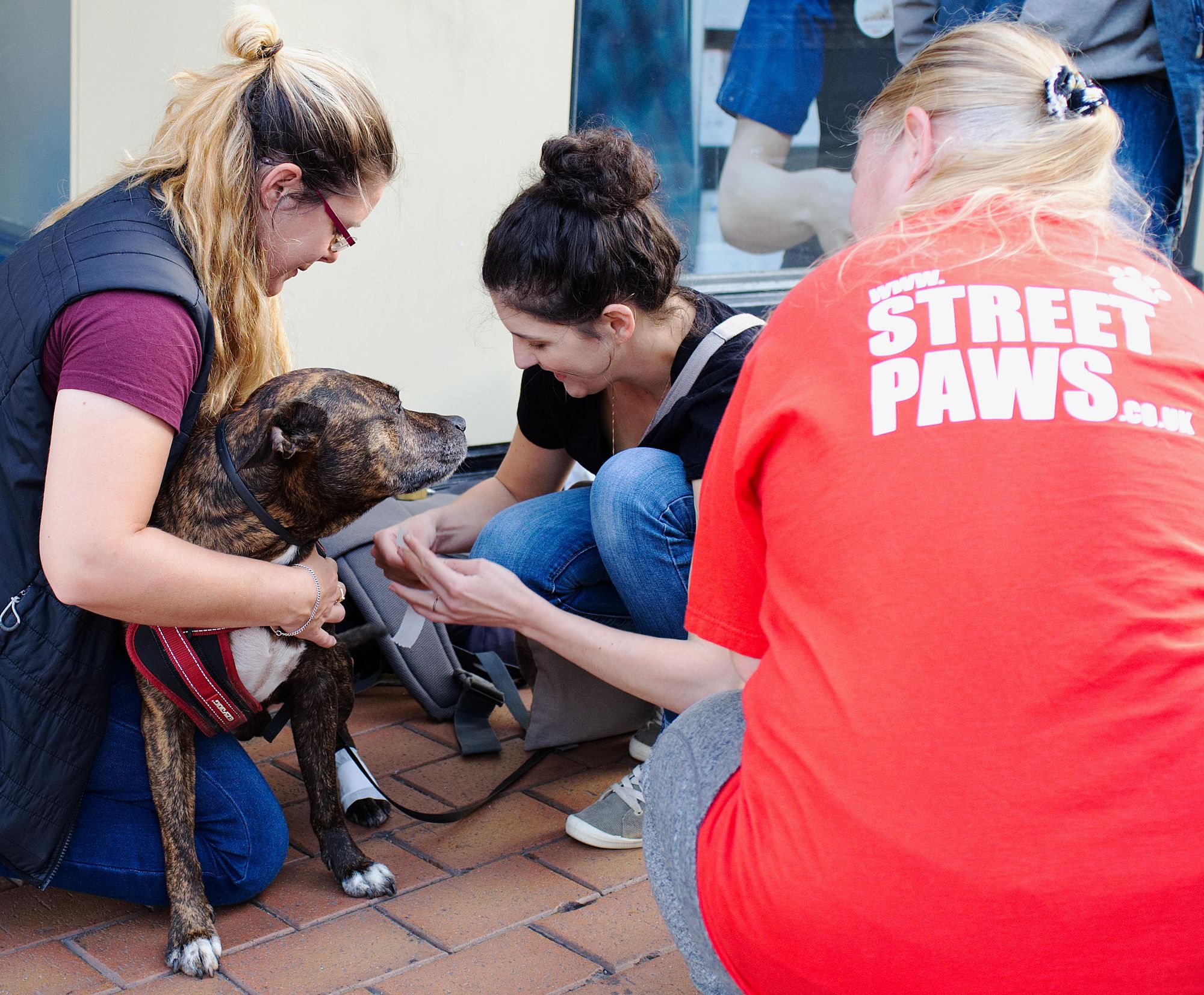 Walk 274,000 steps in April for The Street Paws charity