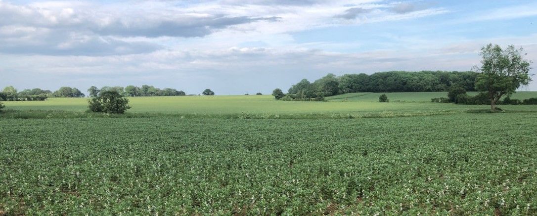 CPRE Hertfordshire Awards return for 2022
