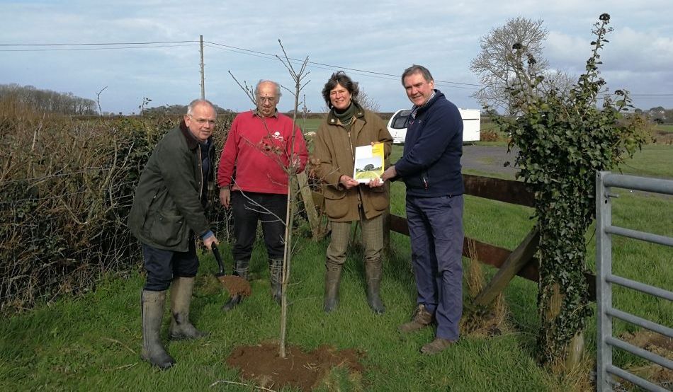 A new initiative sees more greenery planted in Hendy farm