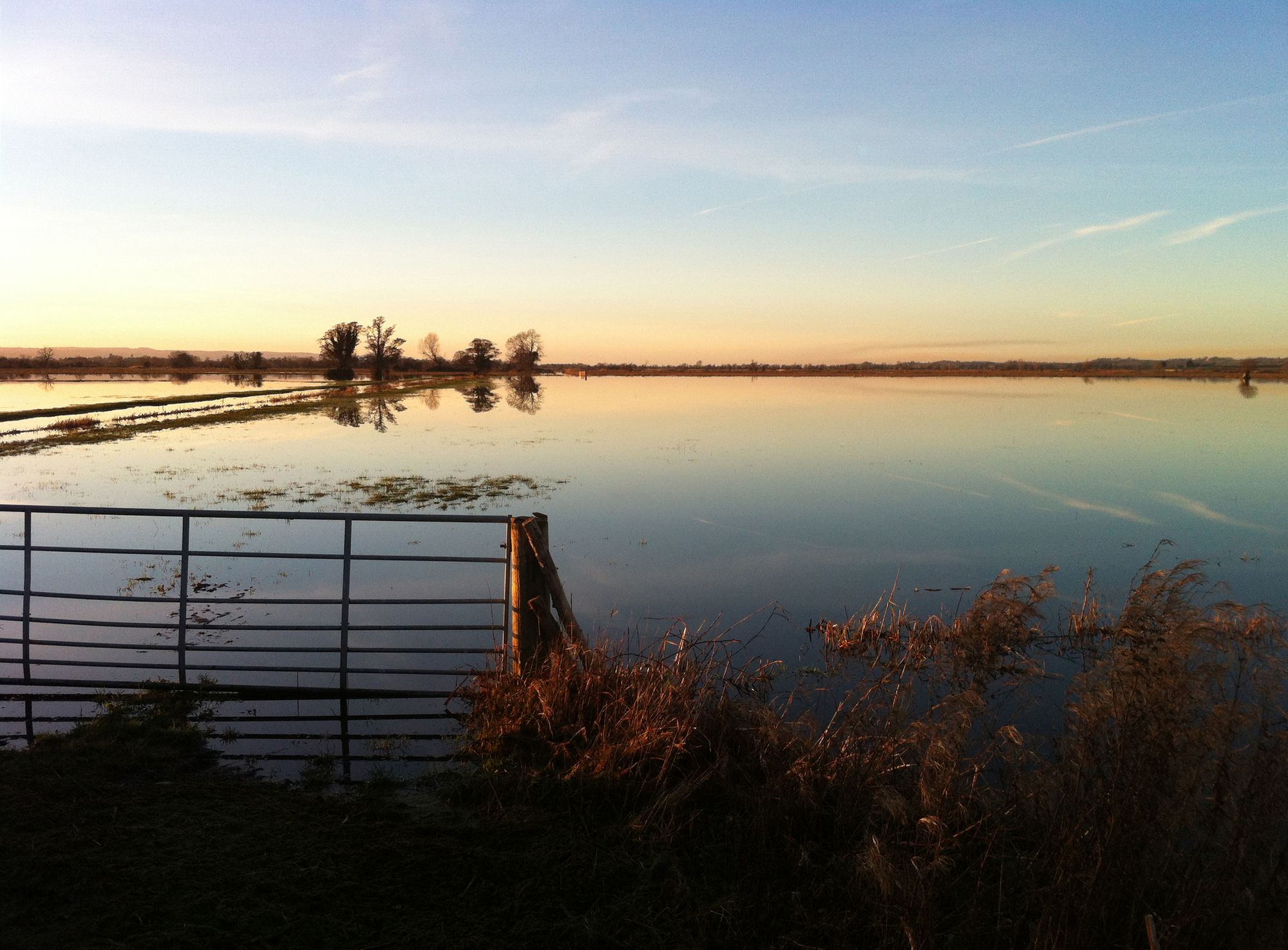 Somerset film celebrates community response to flooding