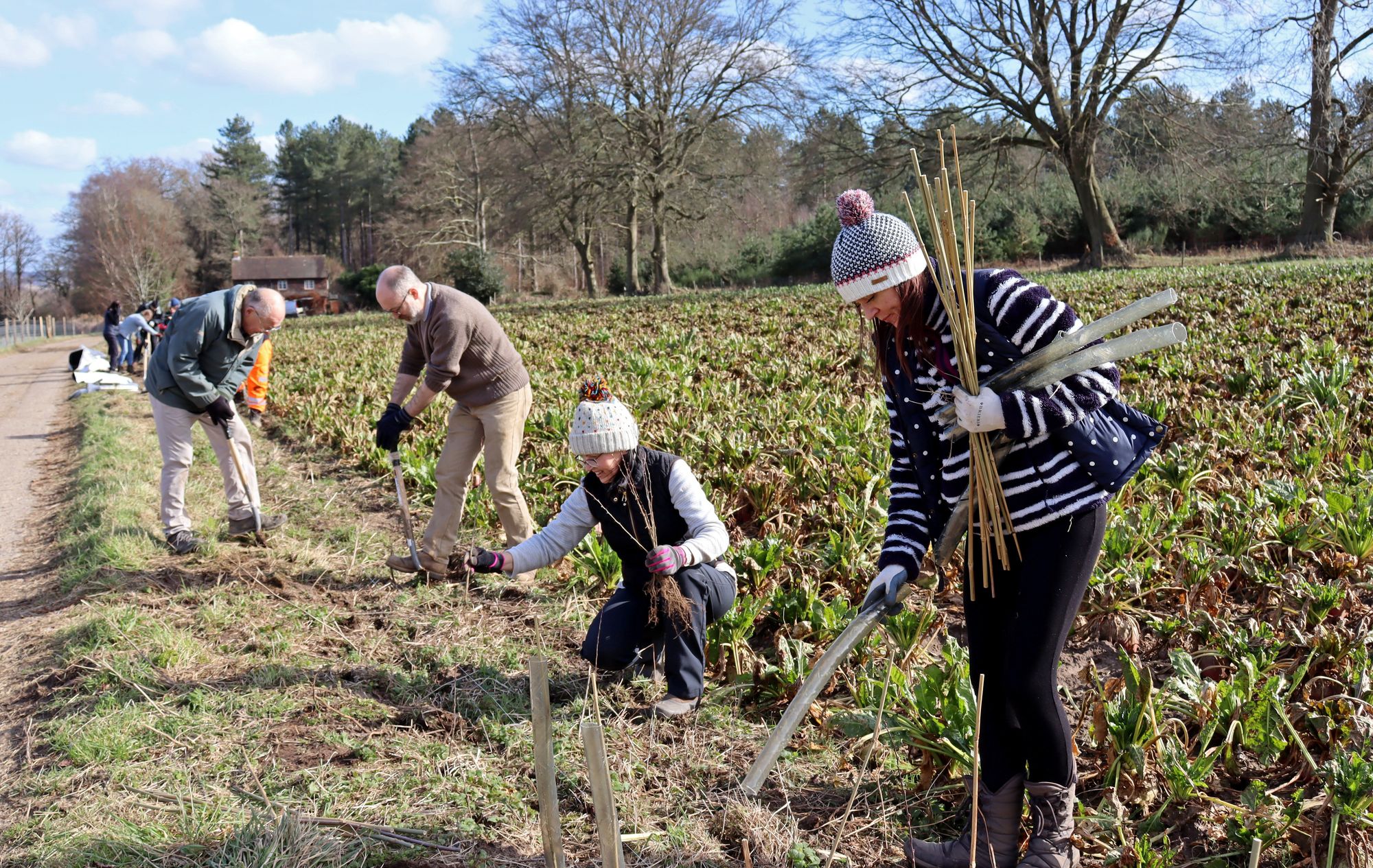 Surrey community members plant over 9k trees in February