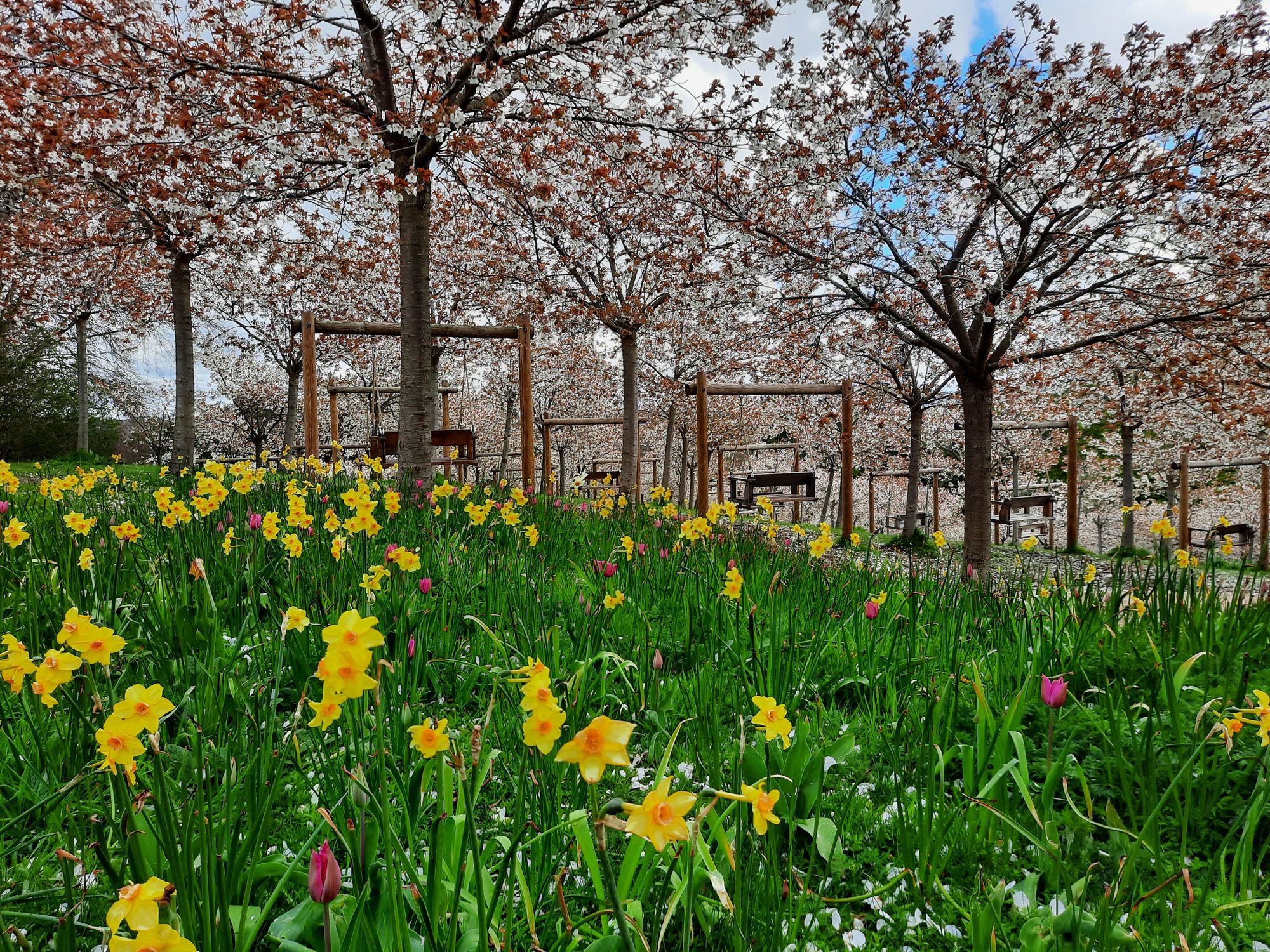 Your View: Six photos of the signs of spring