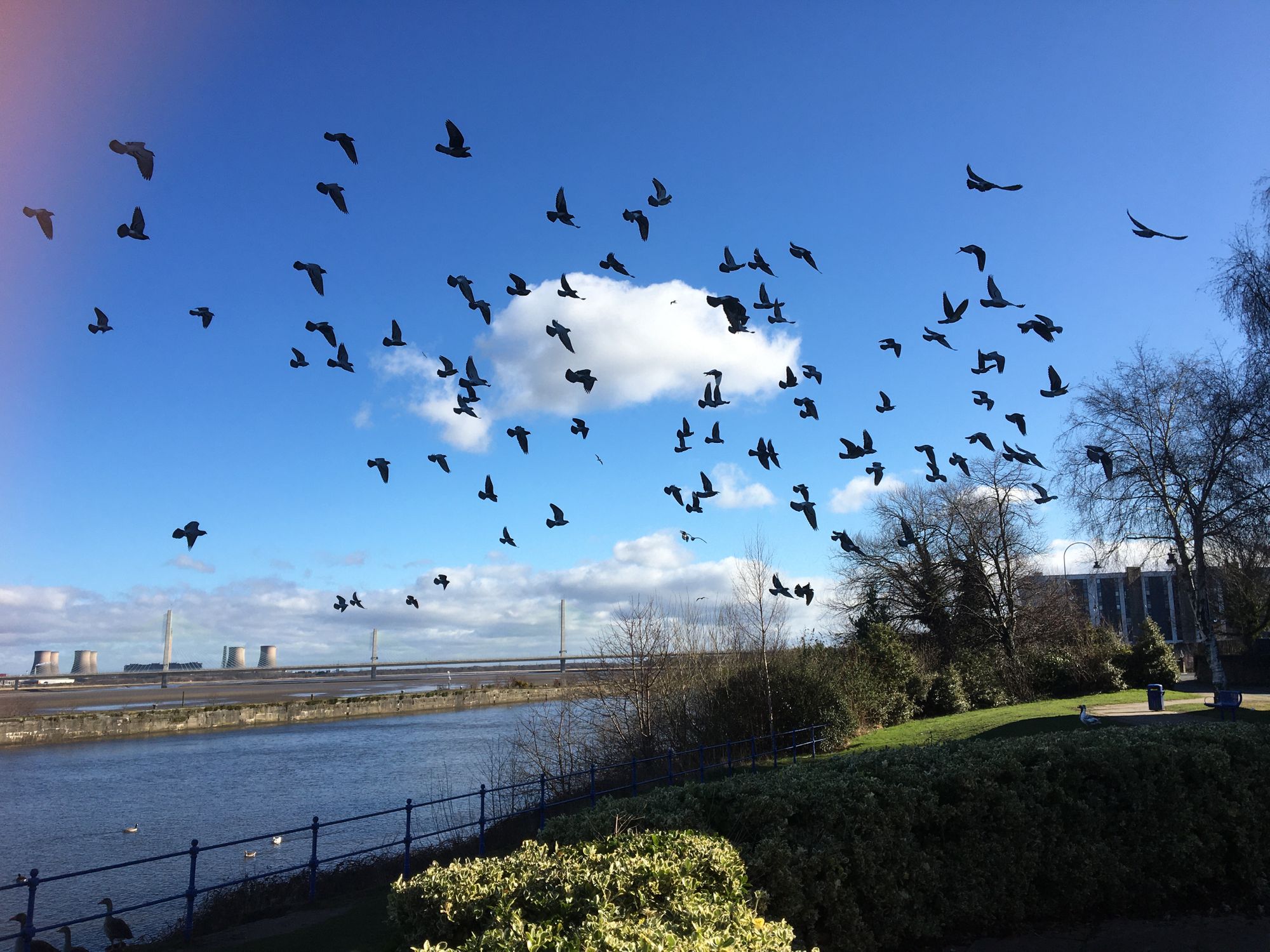 Scene By You: Runcorn and Widnes as seen by local photographers