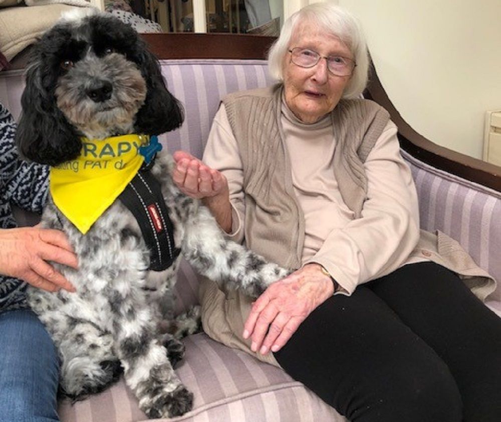 Solihull care home hires new director of canine relations