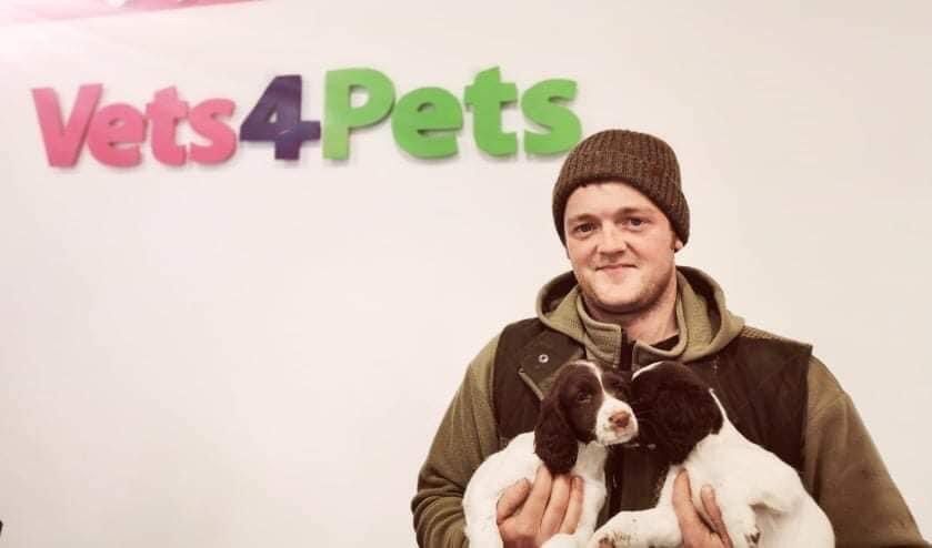 Alnwick man reunited with stolen puppies thanks to their microchips