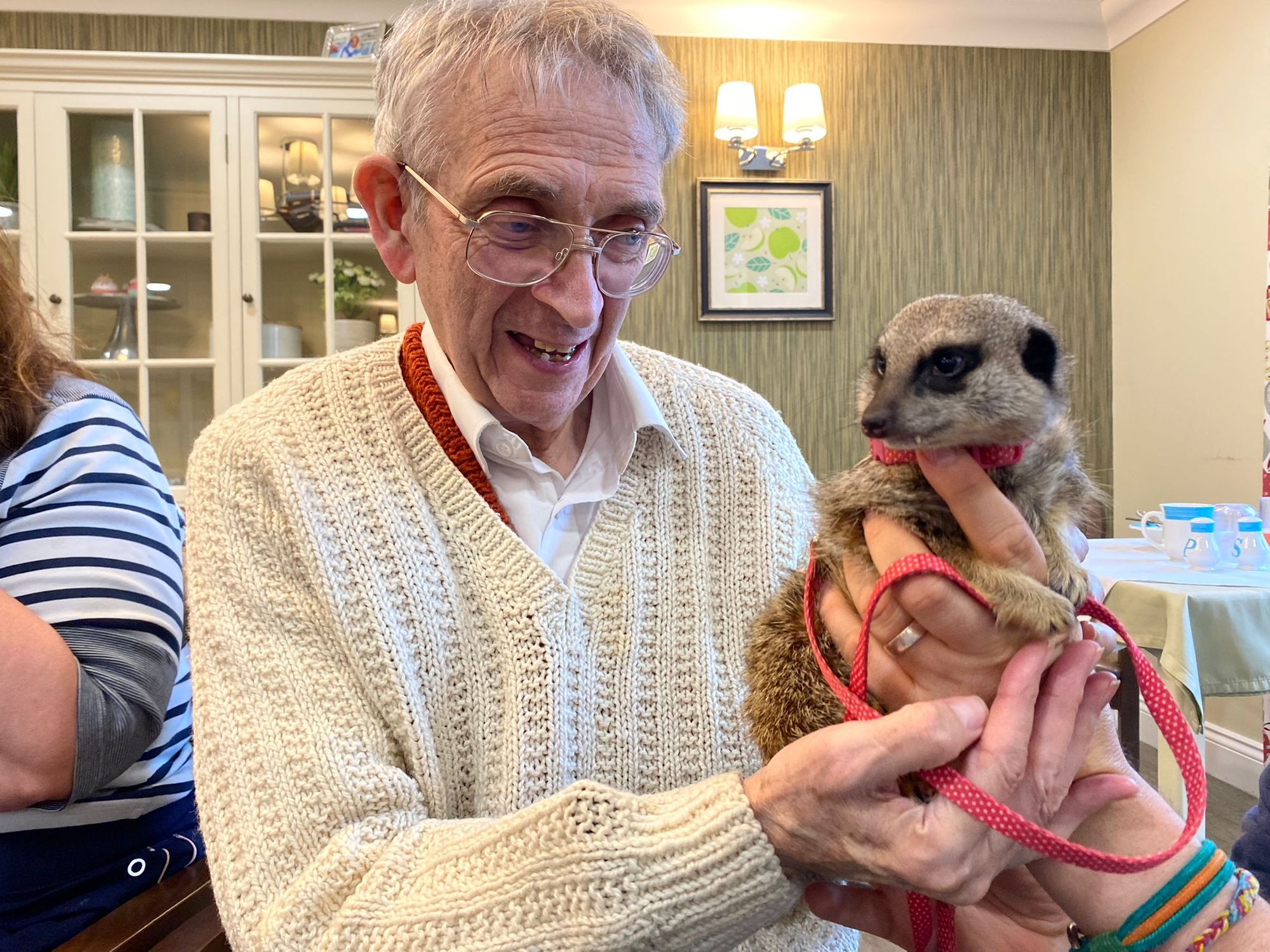 Ashford residents enjoy 'paw-fect' party with animals