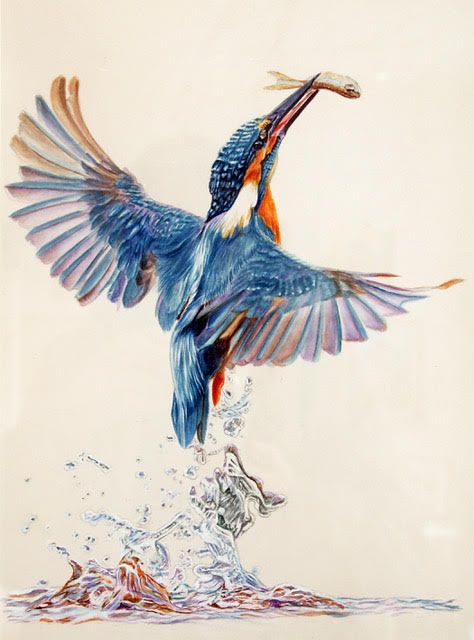 Artists celebrated at Chandos Society of Artists spring exhibition in Bridgwater