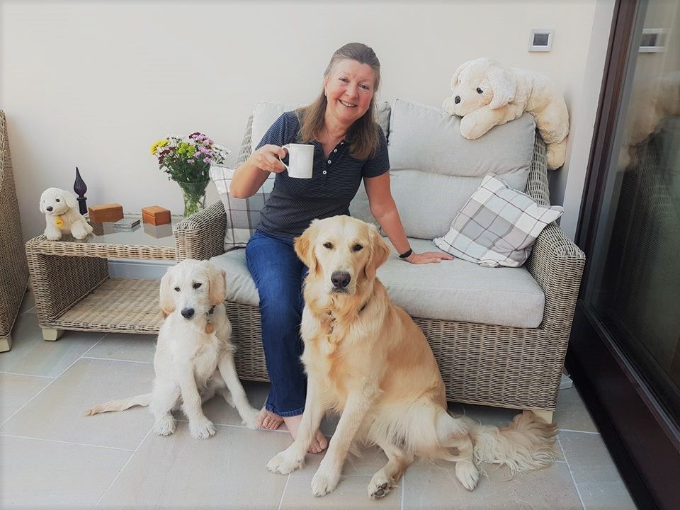 Guide Dogs appeals for Puppy Raisers in Wiltshire