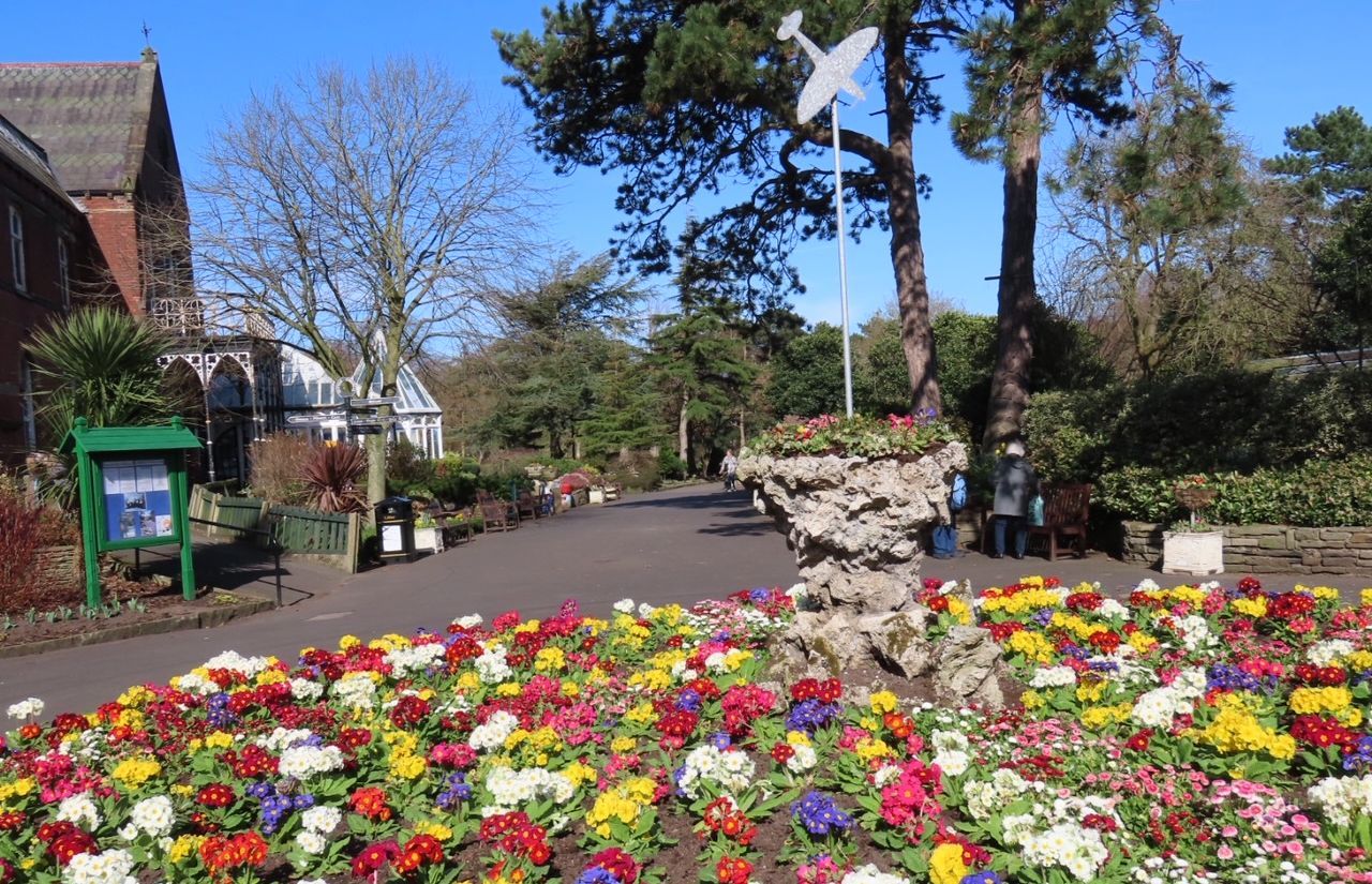 Stand Up For Southport column: Make A Change For Botanic celebrates first birthday