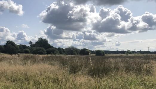 Llanedi Community Council scoops nearly £6,000 for pond and nature project