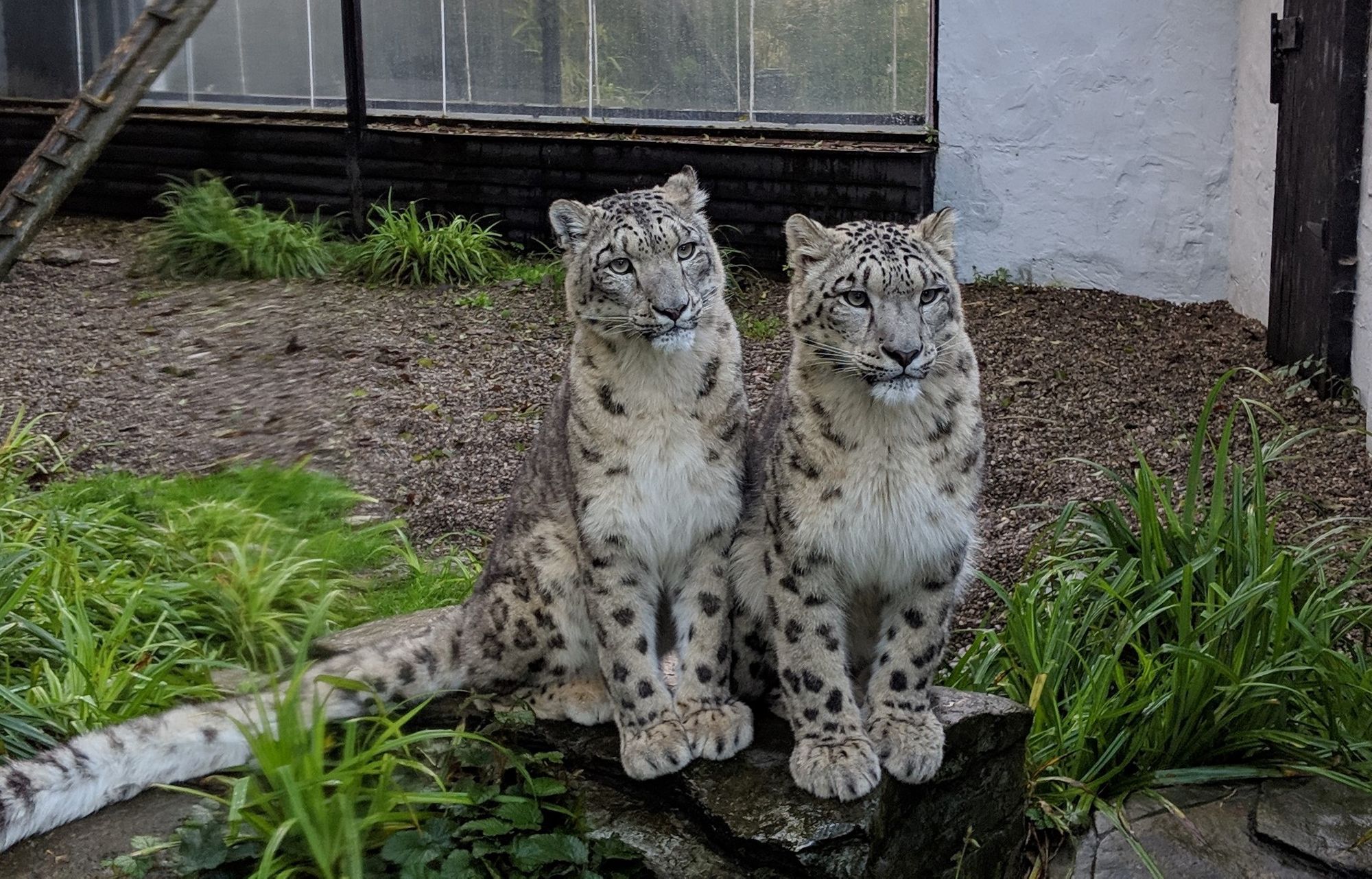 Lakeland Wildlife Oasis' egg-citing Easter