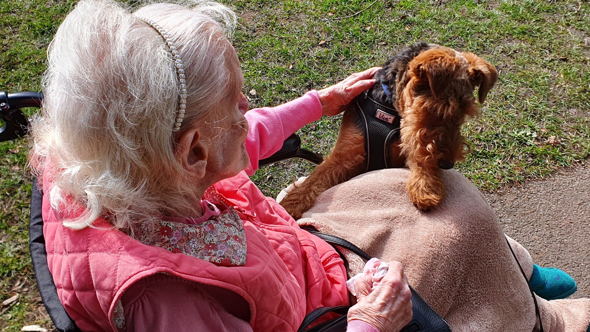 Camberley care home residents enjoy Crufts