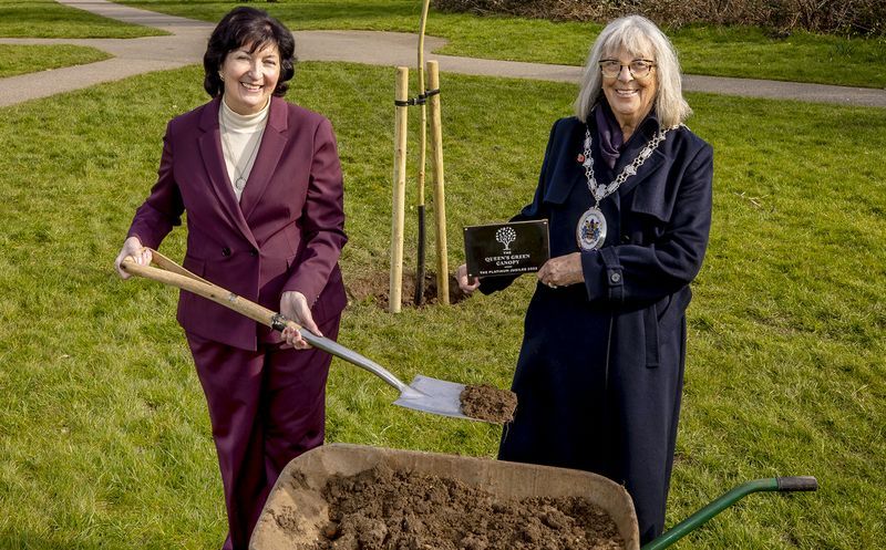 Braintree council plants trees to commemorate the Queen's Jubilee