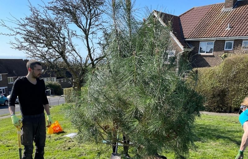 Woodingdean community takes part in tree planting project