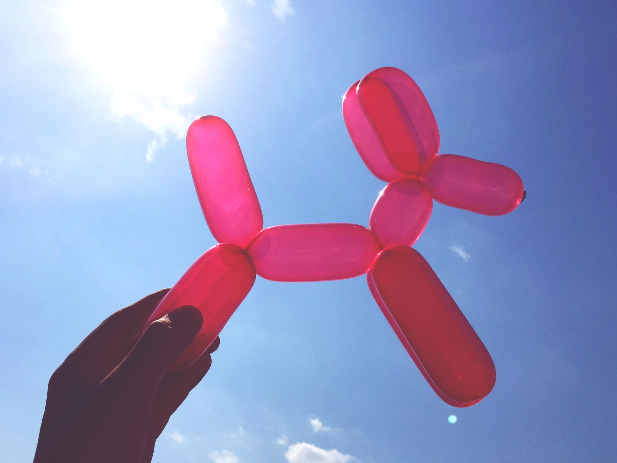 Free family fun days for Maldon and Burnham