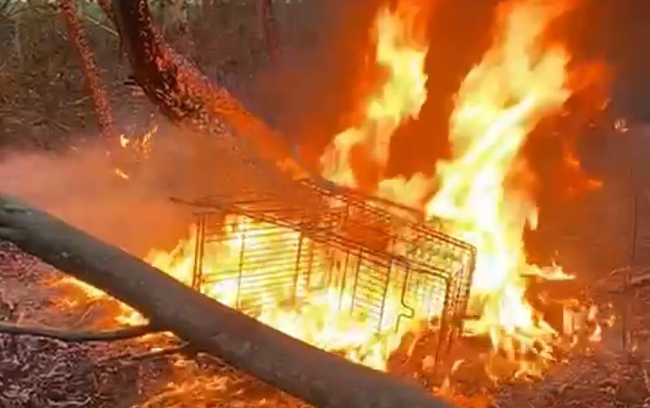 Widnes hit by deliberate fires