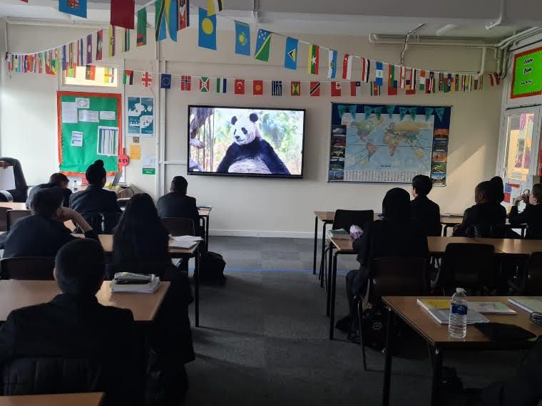 Acocks Green school adopt a panda to raise awareness for the plight of the creature