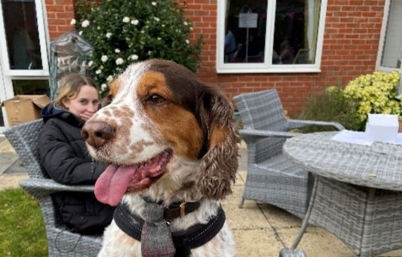 Hadleigh care home hosts furtastic dog show for community