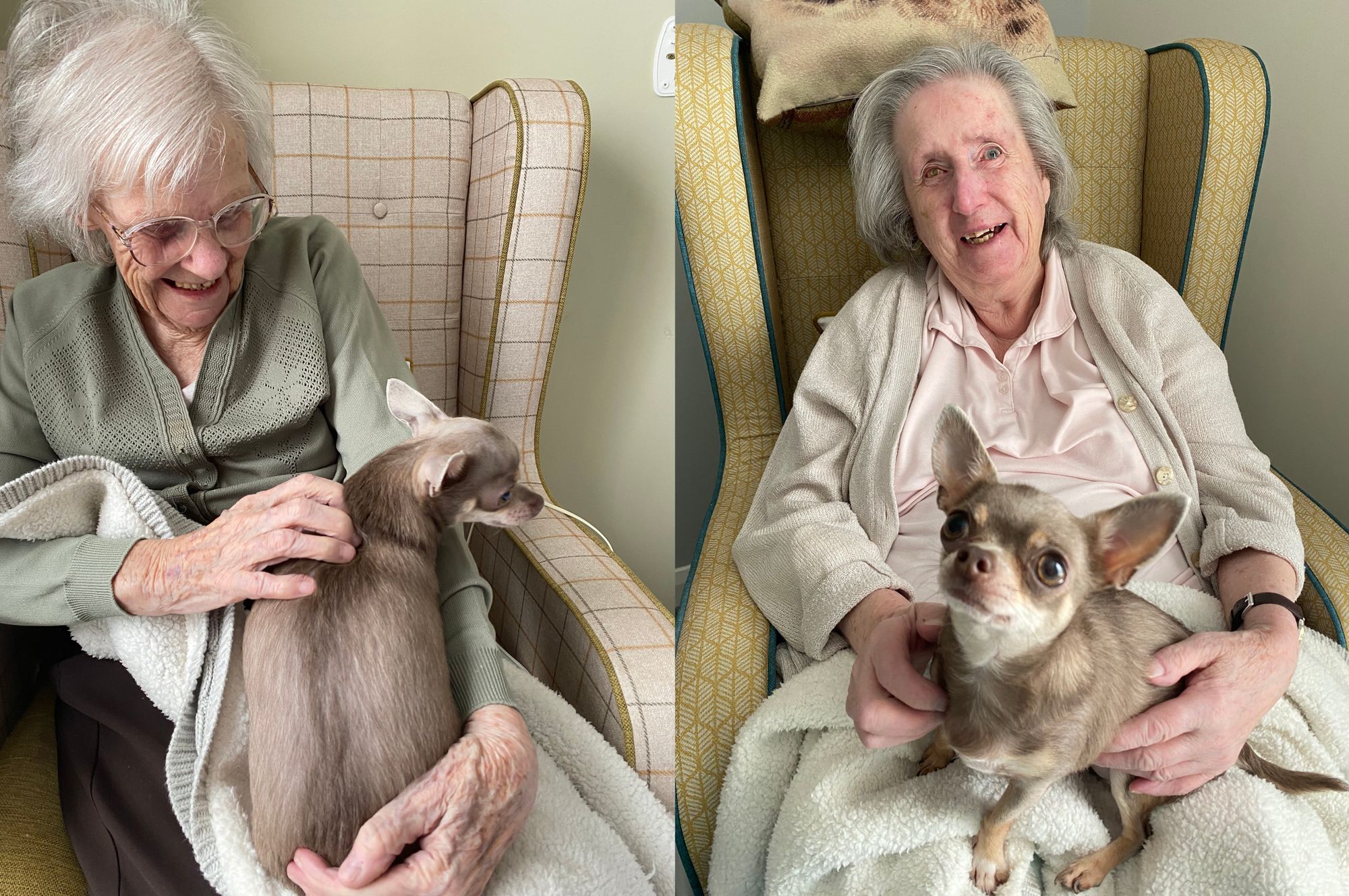 A fur-bulous afternoon as Maidstone care home hosts paw-some dog show