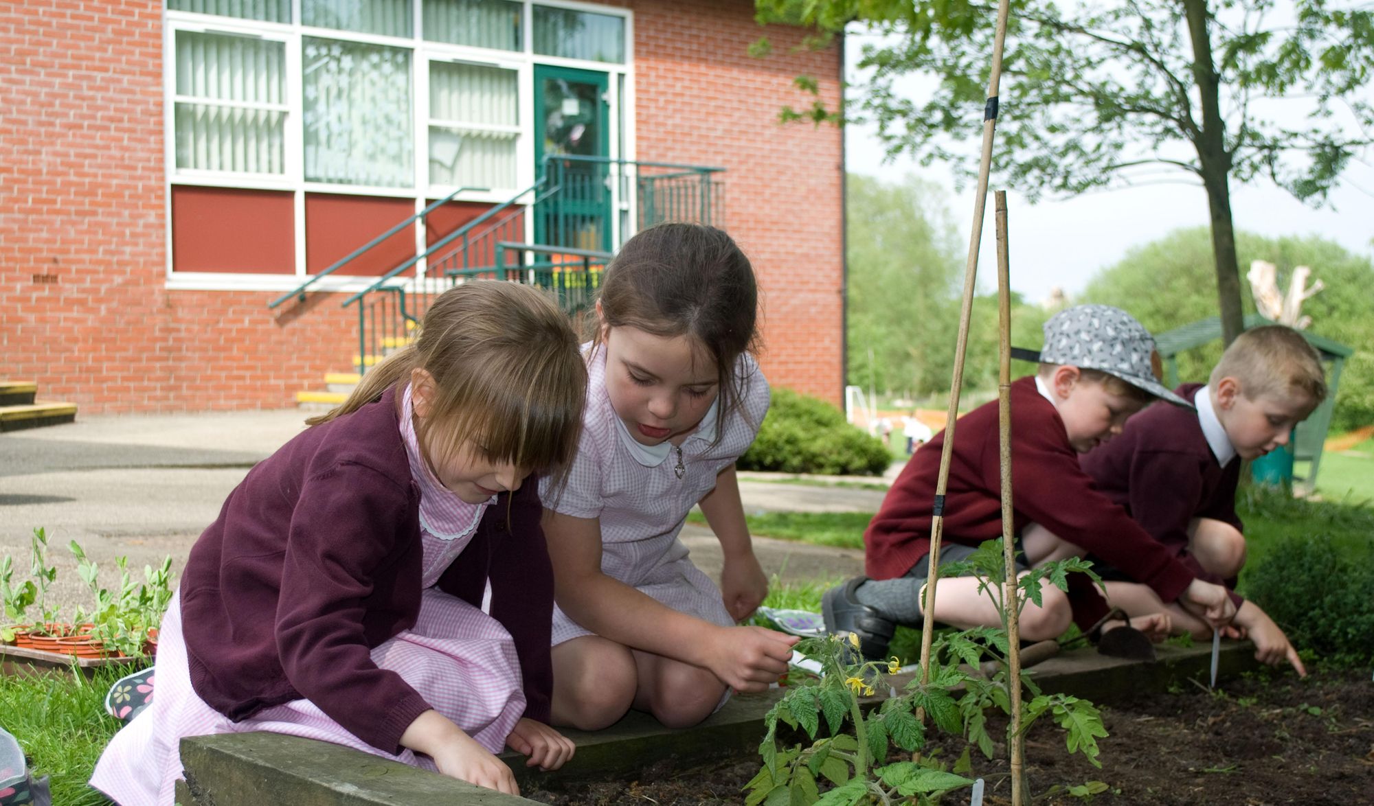 Great Bromley primary school creates mindfulness cabin for pupils