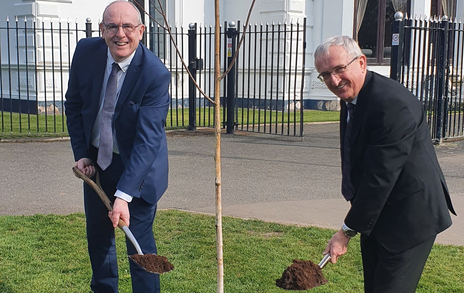 Council to plant '130,000 trees' across Halton