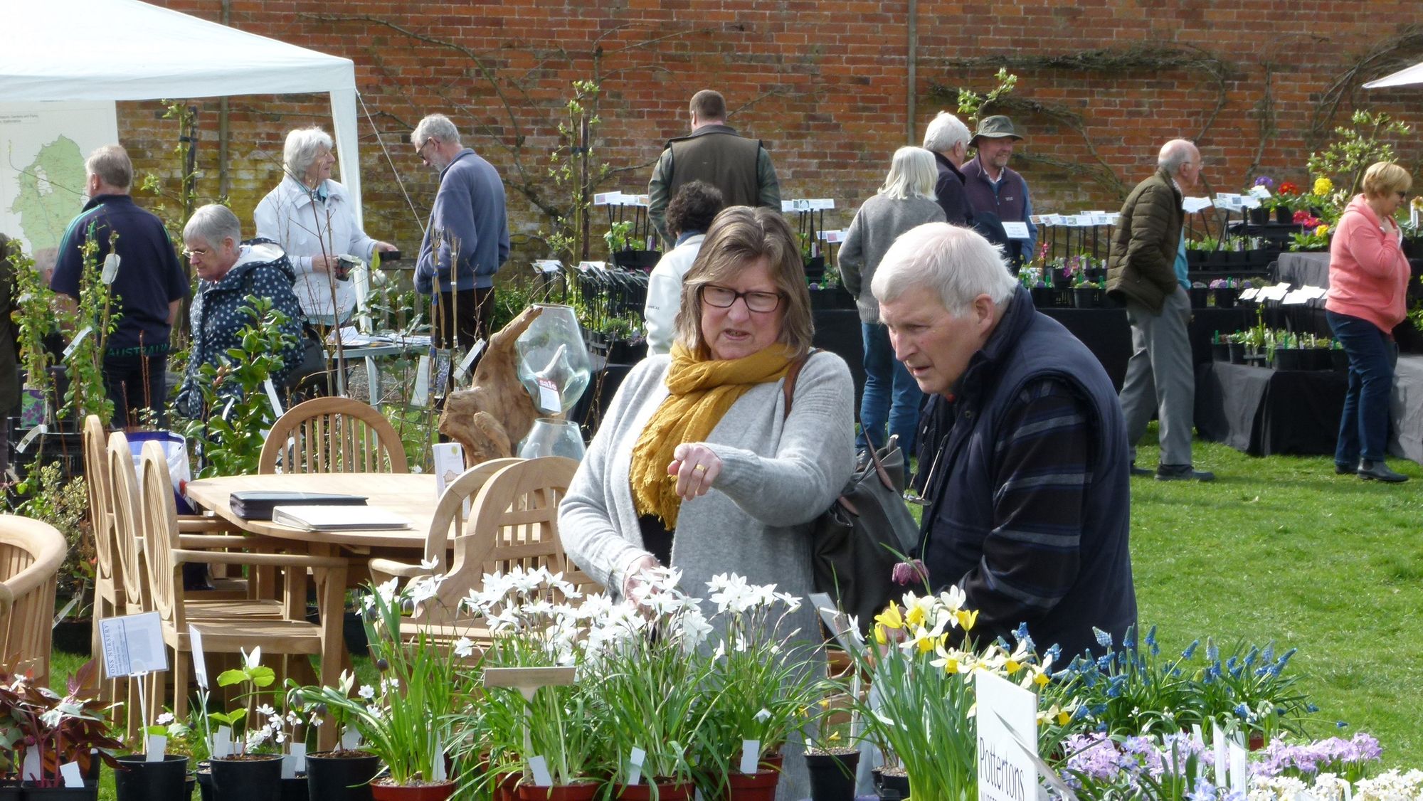 Spring Plant Fair returns to Sugnall Walled Garden