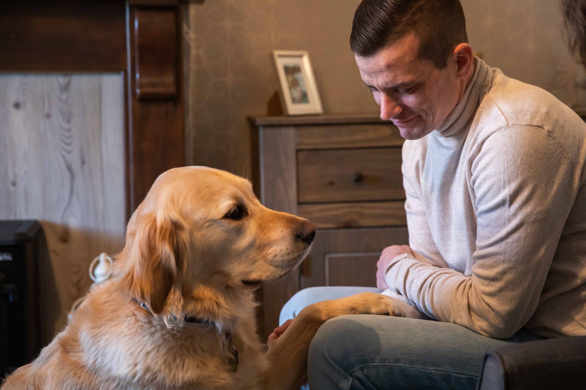 Guide dog Milo is helping Scott on his career path and the pair make a final at Crufts