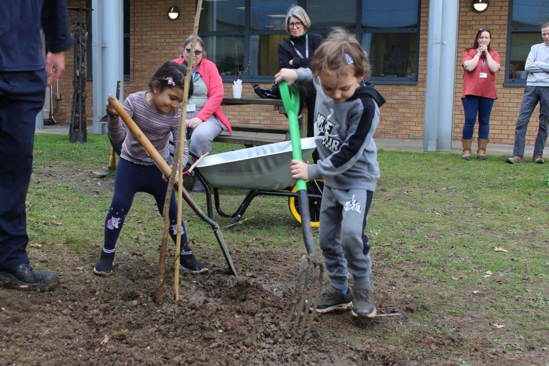 Broadstairs College shares out Jubilee trees