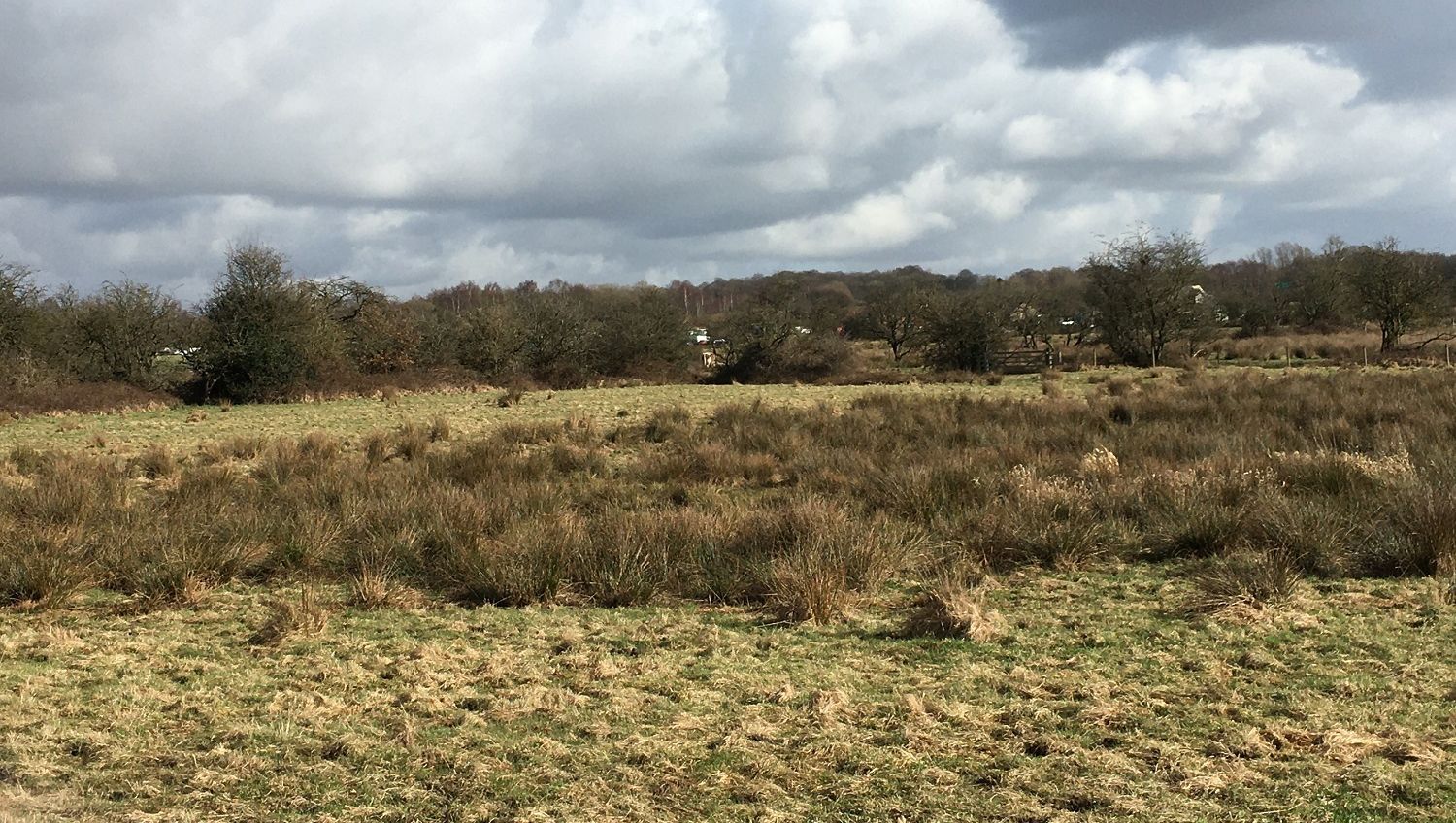 Tyldesley meadow transformed as a result of new Government funding