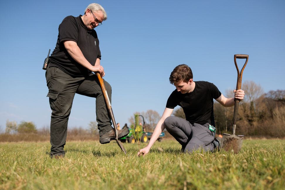 Community help National Trust to create new woodland at Speke Hall