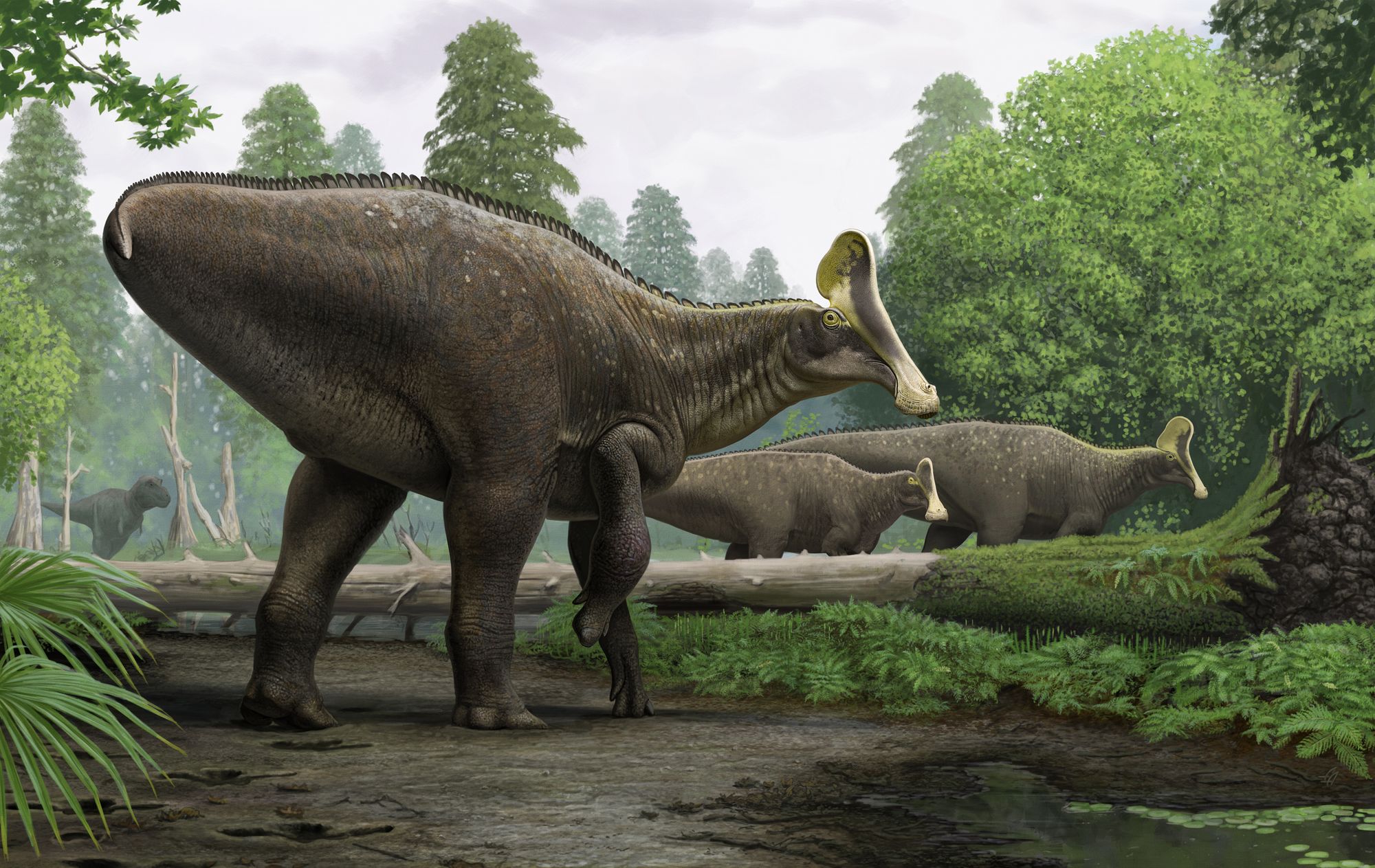 Researchers discover bone of 68-million-year-old dinosaur with broken wrist
