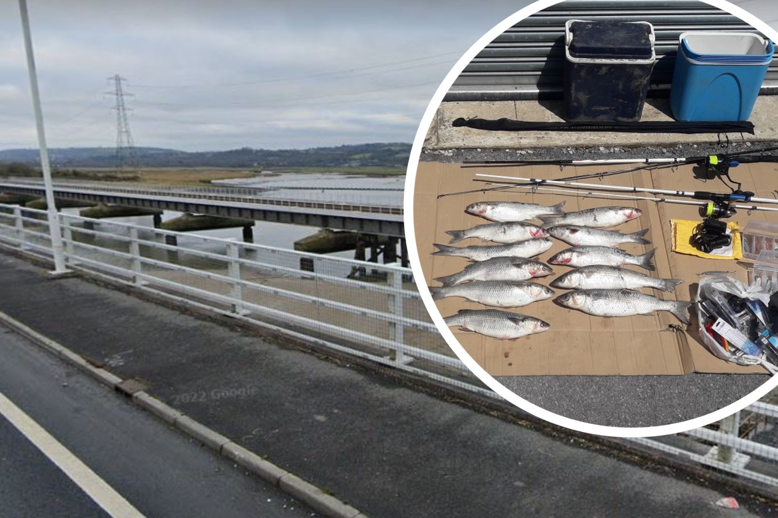 Fourth man admits ‘barbaric’ foul hooking on River Loughor between Llanelli and Swansea
