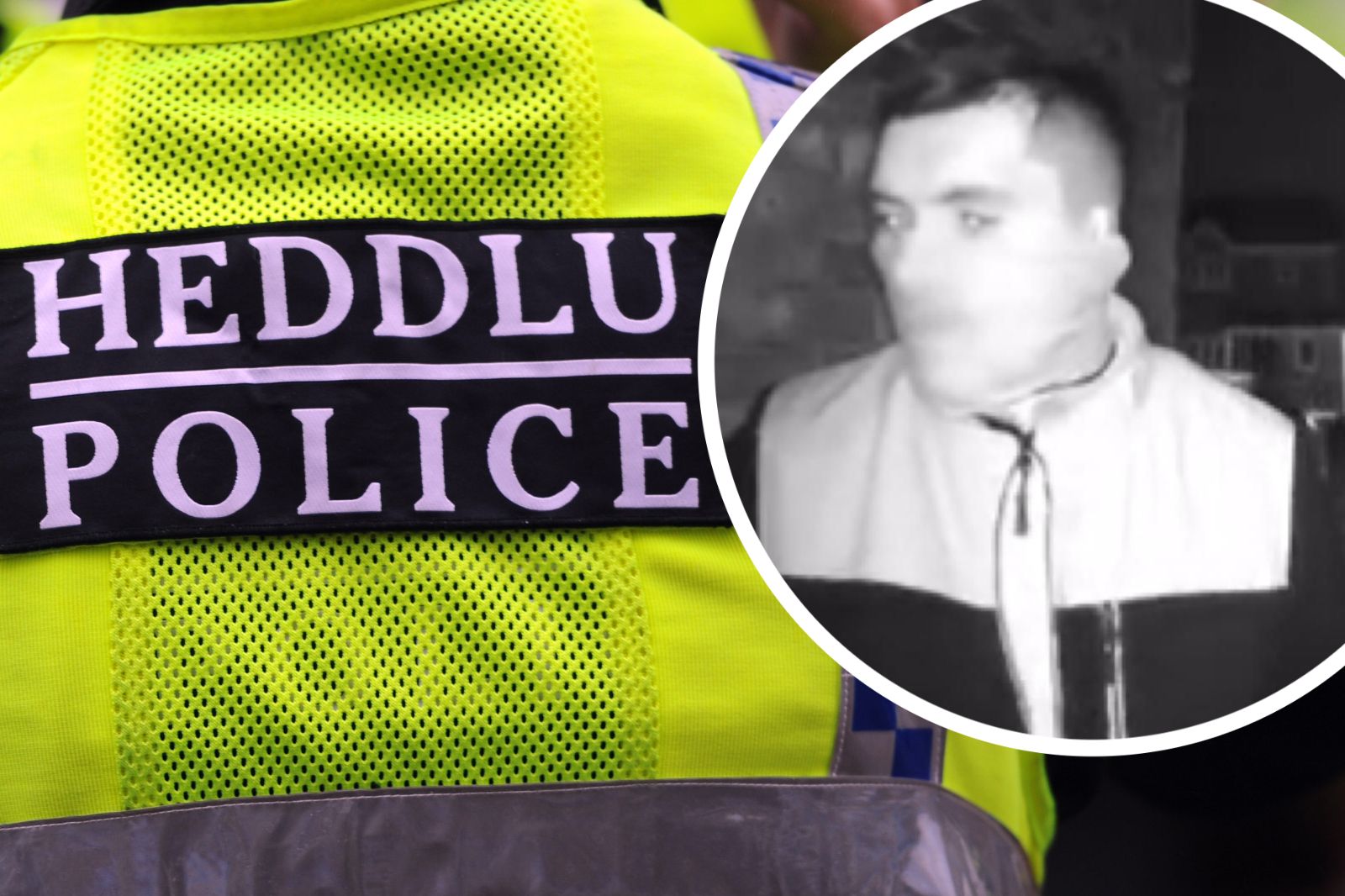Police appeal for witnesses to Llanelli burglary