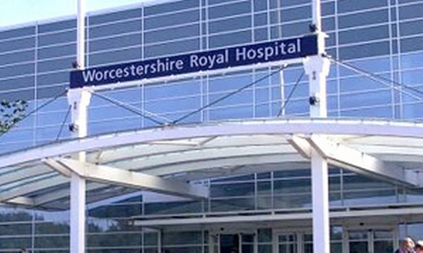 Boy, 2, in critical condition after being injured by dogs