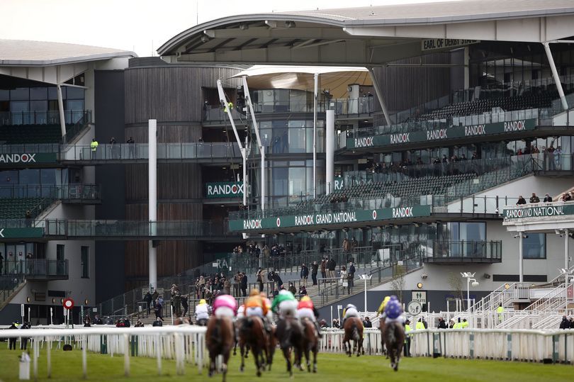 Grand National 2022: Download your sweepstake