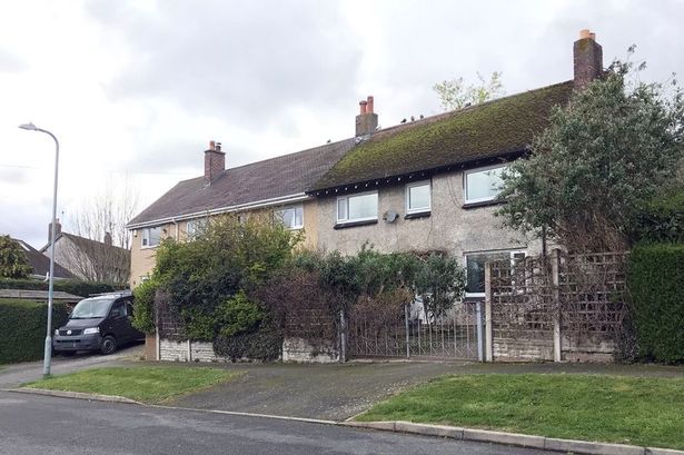 Man admits to cutting hole in neighbour's hedge to get better view of mountains from bedroom window